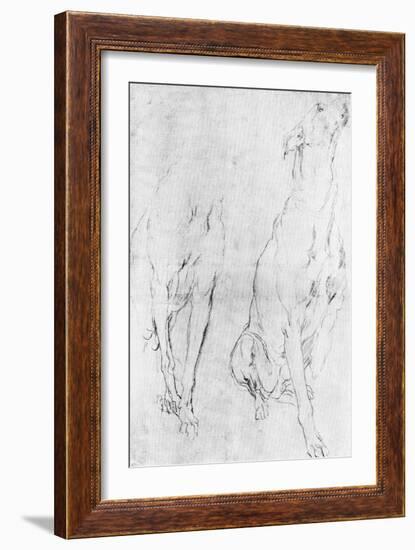 Study for the Greyhound in the Portrait of the Duke of Richmond, C1634-Sir Anthony Van Dyck-Framed Giclee Print
