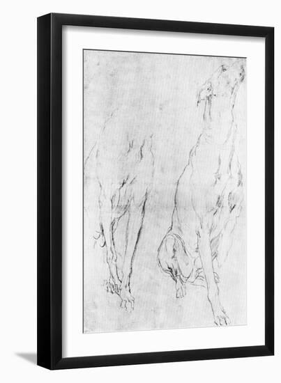 Study for the Greyhound in the Portrait of the Duke of Richmond, C1634-Sir Anthony Van Dyck-Framed Giclee Print