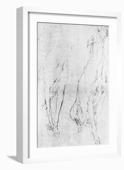 Study for the Greyhound in the Portrait of the Duke of Richmond, C1634-Sir Anthony Van Dyck-Framed Giclee Print