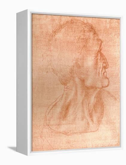 Study for the head of Judas in `The Last Supper`, c1494-c1499 (1883)-Leonardo Da Vinci-Framed Premier Image Canvas