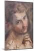 Study for the Head of St Judas-Federico Fiori Barocci or Baroccio-Mounted Giclee Print