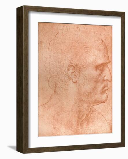 Study for the Head of St Matthew in the Last Supper, C1494-C1499 (1883)-Leonardo da Vinci-Framed Giclee Print