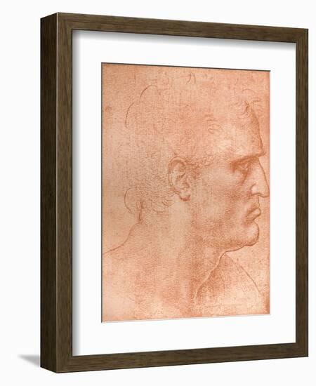 Study for the Head of St Matthew in the Last Supper, C1494-C1499 (1883)-Leonardo da Vinci-Framed Giclee Print
