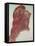 Study for the Head of the Left-Hand Figure from 'Astarte Syriaca', 1875-Dante Gabriel Rossetti-Framed Premier Image Canvas