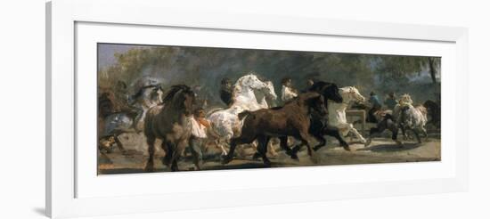 Study for the Horsemarket, 1900-Rosa Bonheur-Framed Giclee Print