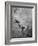 Study for the St Sebastian, 1913-Sir Anthony Van Dyck-Framed Giclee Print