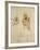 Study for the Virgin and Child, C.1478-1480-Leonardo da Vinci-Framed Giclee Print