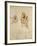 Study for the Virgin and Child, C.1478-1480-Leonardo da Vinci-Framed Giclee Print