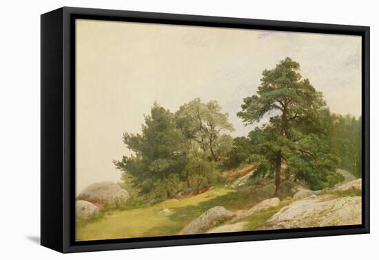 Study for Trees on Beverly Coast (Oil on Canvas)-John Frederick Kensett-Framed Premier Image Canvas