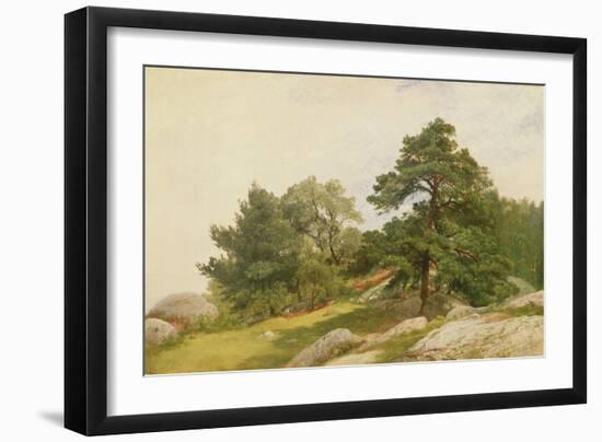 Study for Trees on Beverly Coast (Oil on Canvas)-John Frederick Kensett-Framed Giclee Print
