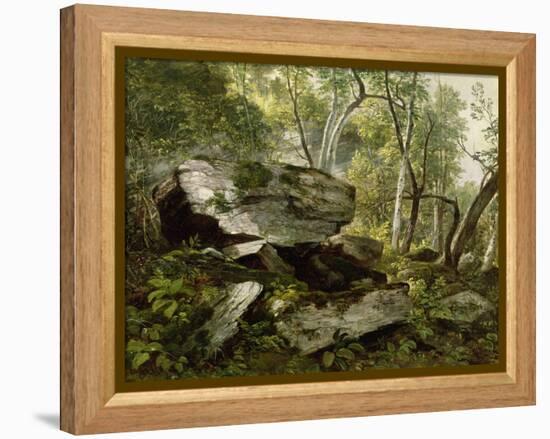 Study from Nature: Rocks and Trees, C.1856-Asher Brown Durand-Framed Premier Image Canvas