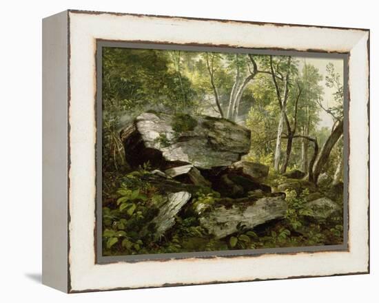 Study from Nature: Rocks and Trees, C.1856-Asher Brown Durand-Framed Premier Image Canvas