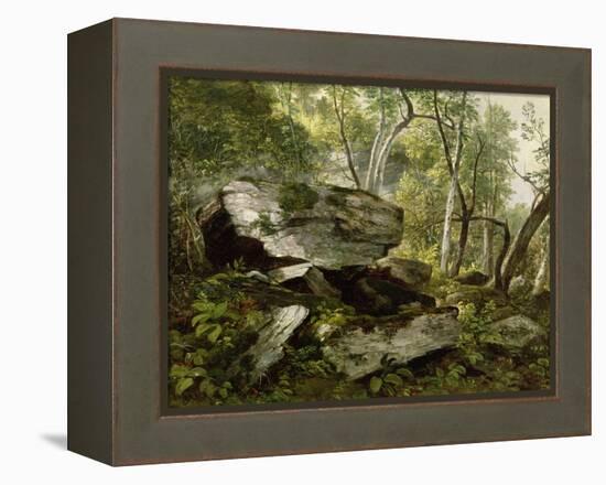 Study from Nature: Rocks and Trees, C.1856-Asher Brown Durand-Framed Premier Image Canvas