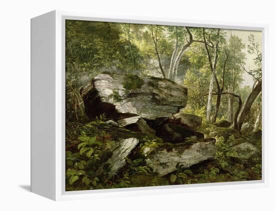 Study from Nature: Rocks and Trees, C.1856-Asher Brown Durand-Framed Premier Image Canvas