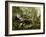 Study from Nature: Rocks and Trees, C.1856-Asher Brown Durand-Framed Giclee Print