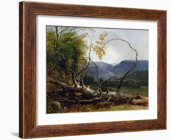 Study from Nature, Stratton Notch, Vermont, 1853-Asher Brown Durand-Framed Giclee Print