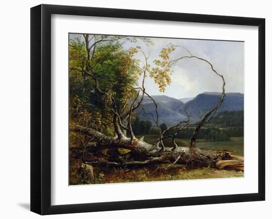 Study from Nature, Stratton Notch, Vermont, 1853-Asher Brown Durand-Framed Giclee Print