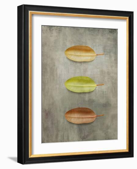 Study II-Anna Polanski-Framed Art Print