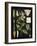 Study in Botany II-Vision Studio-Framed Art Print