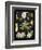 Study in Botany III-Vision Studio-Framed Art Print