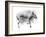 Study in Motion - Doze-Manny Woodard-Framed Giclee Print