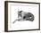 Study in Motion - Relax-Manny Woodard-Framed Giclee Print