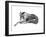 Study in Motion - Relax-Manny Woodard-Framed Giclee Print