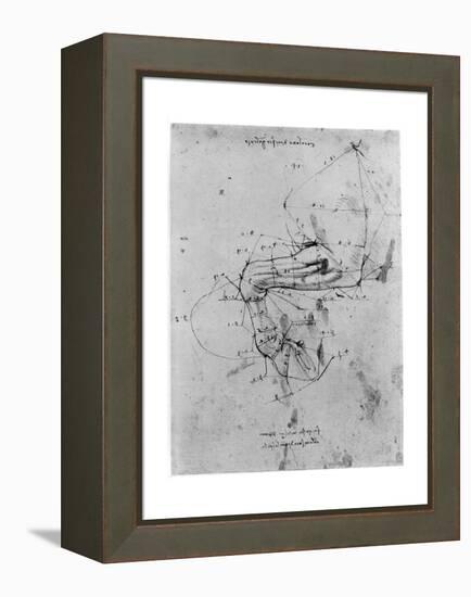 Study in Proportion of a Horse's Leg, Late 15th or Early 16th Century-Leonardo da Vinci-Framed Premier Image Canvas