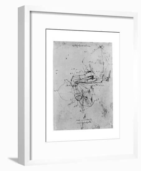 Study in Proportion of a Horse's Leg, Late 15th or Early 16th Century-Leonardo da Vinci-Framed Premium Giclee Print