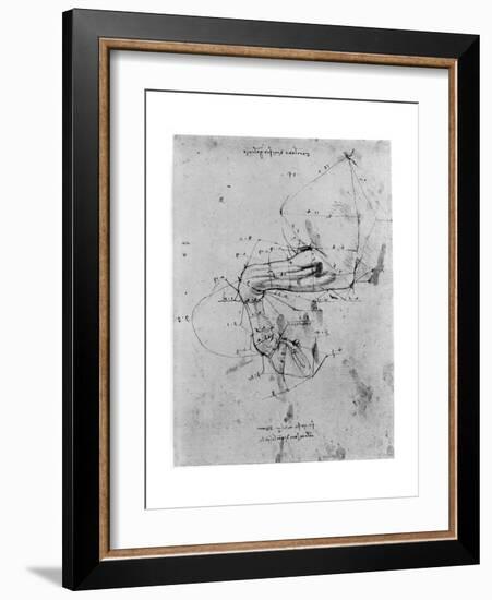 Study in Proportion of a Horse's Leg, Late 15th or Early 16th Century-Leonardo da Vinci-Framed Giclee Print