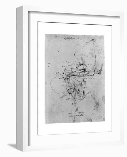 Study in Proportion of a Horse's Leg, Late 15th or Early 16th Century-Leonardo da Vinci-Framed Giclee Print