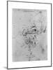 Study in Proportion of a Horse's Leg, Late 15th or Early 16th Century-Leonardo da Vinci-Mounted Giclee Print