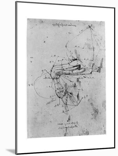 Study in Proportion of a Horse's Leg, Late 15th or Early 16th Century-Leonardo da Vinci-Mounted Giclee Print