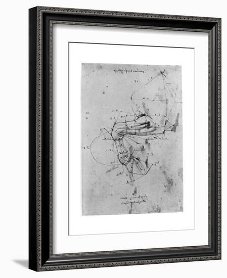 Study in Proportion of a Horse's Leg, Late 15th or Early 16th Century-Leonardo da Vinci-Framed Giclee Print