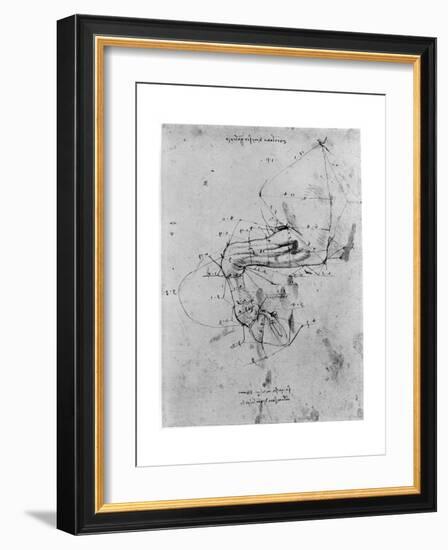 Study in Proportion of a Horse's Leg, Late 15th or Early 16th Century-Leonardo da Vinci-Framed Giclee Print