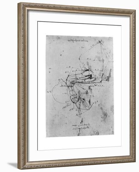 Study in Proportion of a Horse's Leg, Late 15th or Early 16th Century-Leonardo da Vinci-Framed Giclee Print