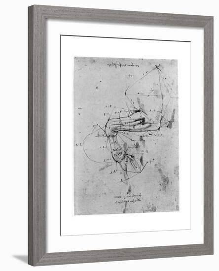 Study in Proportion of a Horse's Leg, Late 15th or Early 16th Century-Leonardo da Vinci-Framed Giclee Print