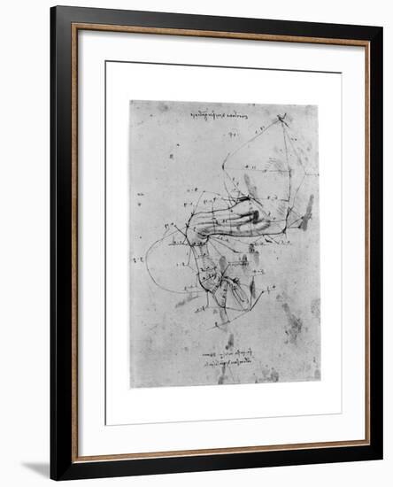 Study in Proportion of a Horse's Leg, Late 15th or Early 16th Century-Leonardo da Vinci-Framed Giclee Print