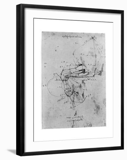 Study in Proportion of a Horse's Leg, Late 15th or Early 16th Century-Leonardo da Vinci-Framed Giclee Print