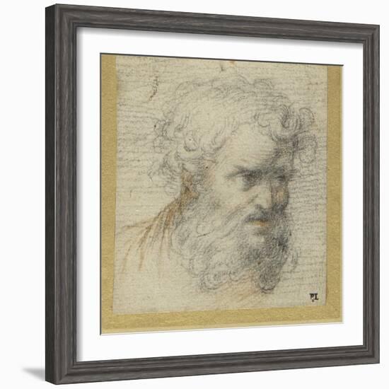 Study of a Bearded Head (Possibly for an Apostle)-Parmigianino-Framed Giclee Print