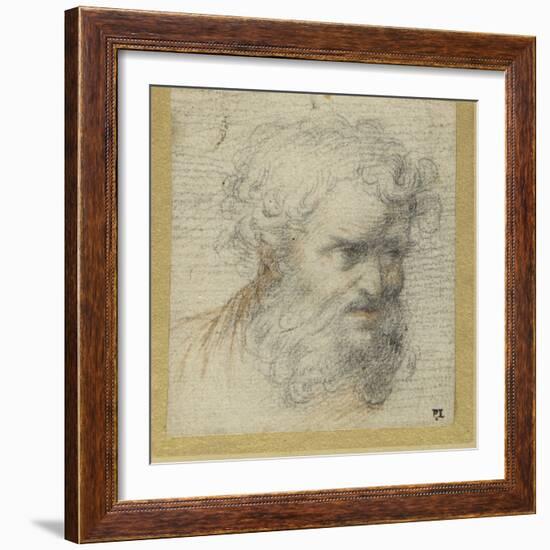 Study of a Bearded Head (Possibly for an Apostle)-Parmigianino-Framed Giclee Print