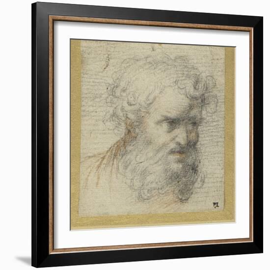 Study of a Bearded Head (Possibly for an Apostle)-Parmigianino-Framed Giclee Print