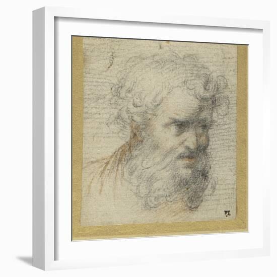 Study of a Bearded Head (Possibly for an Apostle)-Parmigianino-Framed Giclee Print