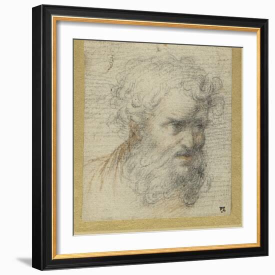 Study of a Bearded Head (Possibly for an Apostle)-Parmigianino-Framed Giclee Print