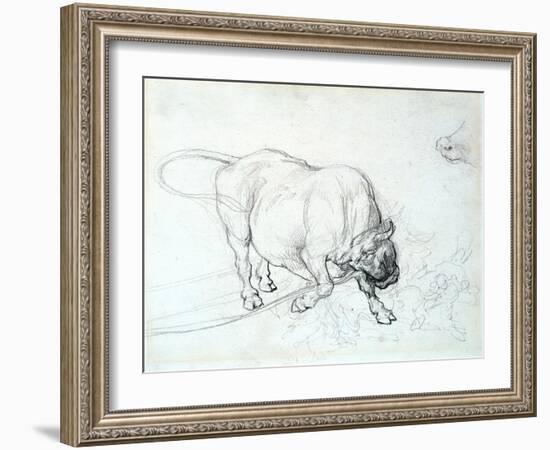 Study of a Bull-Theodore Gericault-Framed Giclee Print