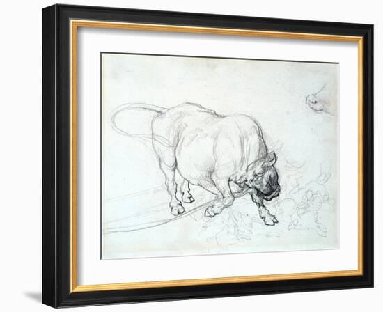 Study of a Bull-Theodore Gericault-Framed Giclee Print