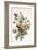 Study of a Bunch of Flowers, 1817-Antoine Berjon-Framed Giclee Print