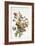 Study of a Bunch of Flowers, 1817-Antoine Berjon-Framed Giclee Print