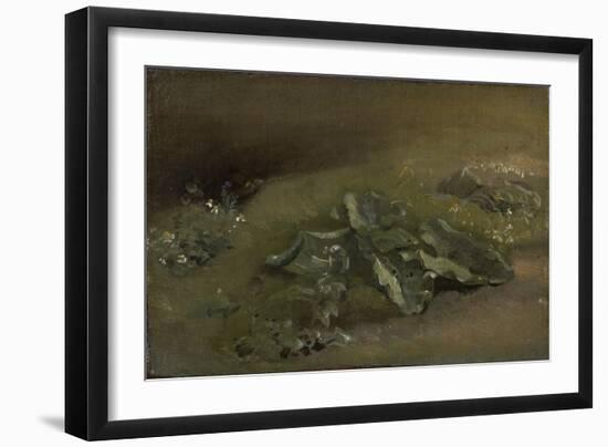 Study of a Burdock, C.1810-14 or C.1828 (Oil on Canvas, Mounted on Panel)-John Constable-Framed Giclee Print