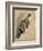 Study of a Cat (W/C on Paper)-Gwen John-Framed Giclee Print